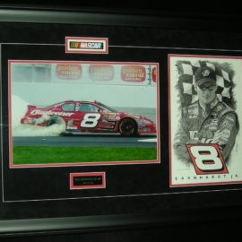 Dale Earnhardt Jr.